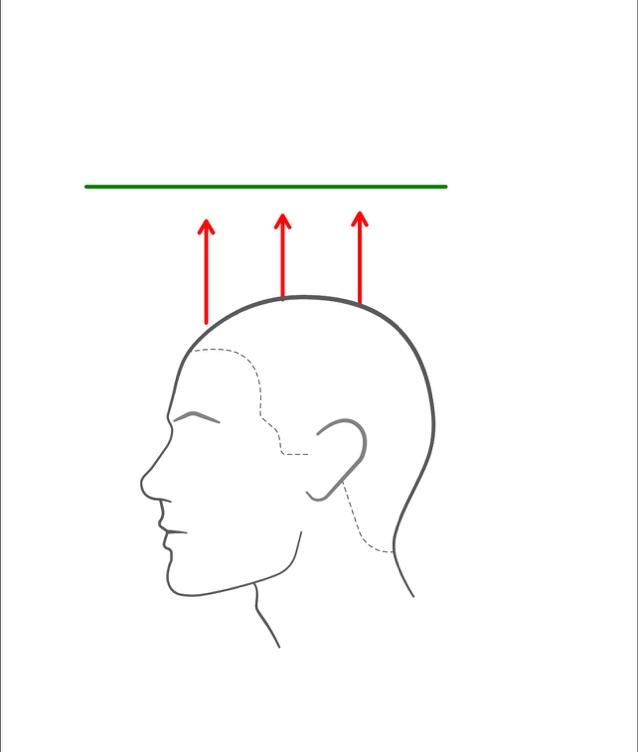men's head sizing diagram